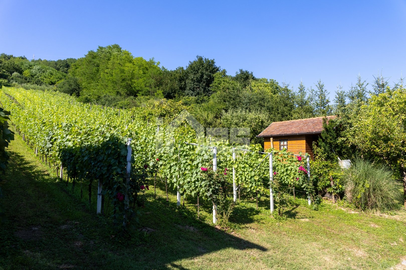 House For sale - Krapinsko-zagorska Pregrada