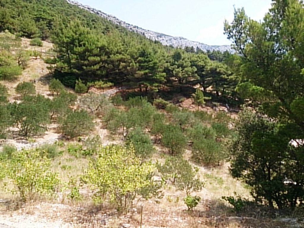 Land For sale - SPLITSKO-DALMATINSKA  OMIŠ 