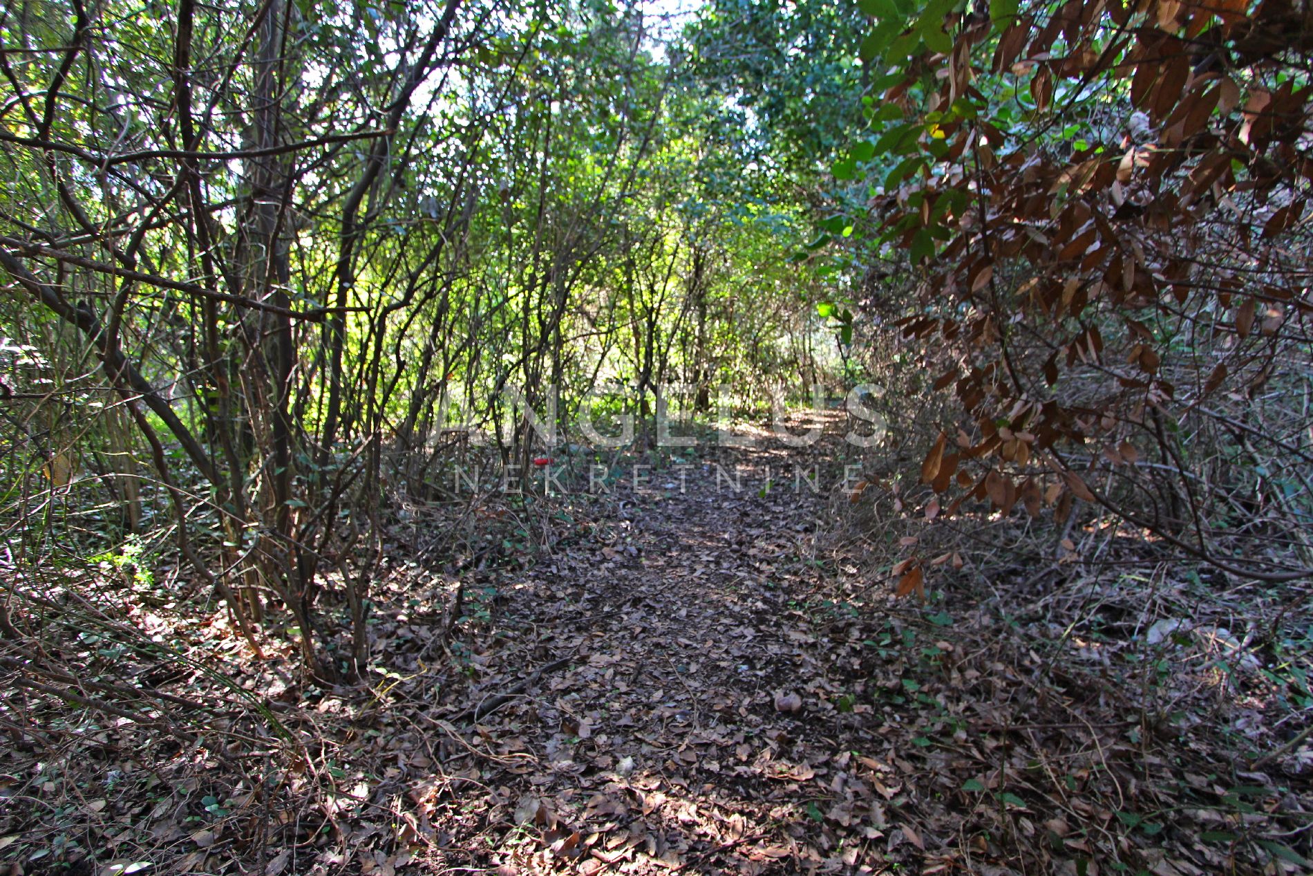 Terrain À vendre - Dubrovačko-neretvanska Duba Stonska