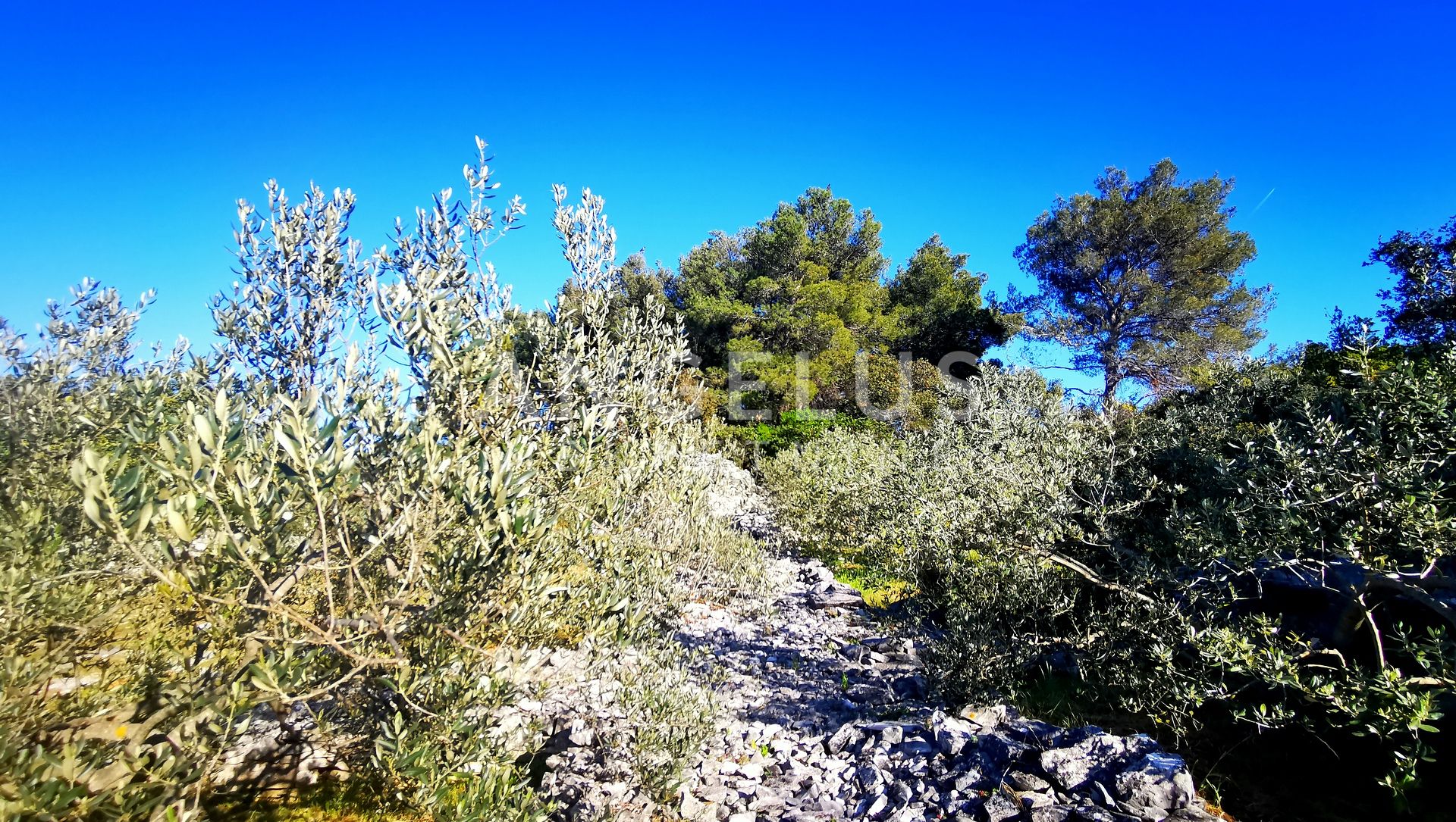 Pozemek Na prodej -  Nečujam