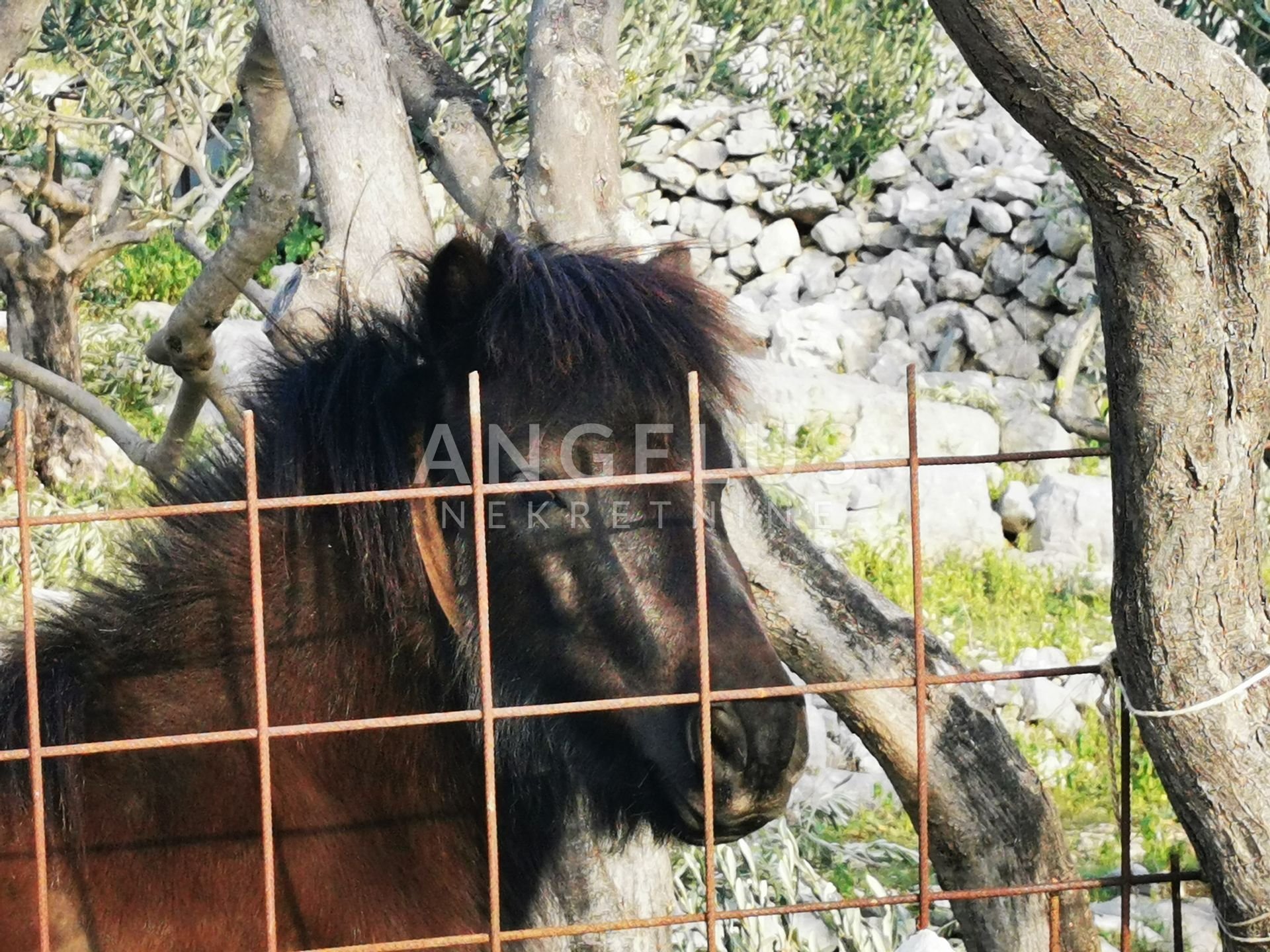 Parcela Naprodaj - Splitsko-dalmatinska Bobovišća