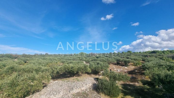 Land for sale 14738 m² – Sutivan