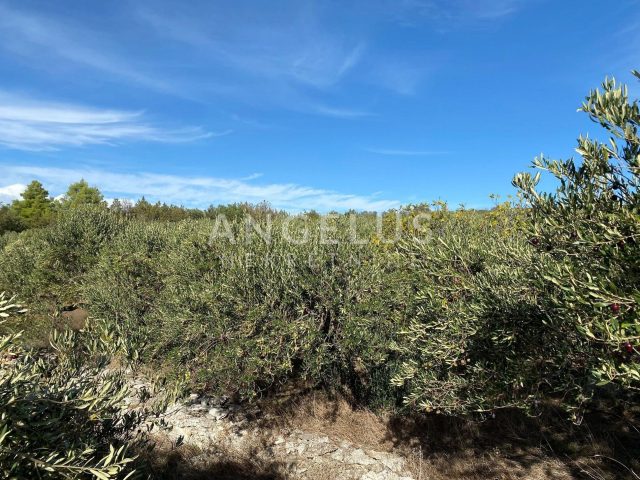 Land For sale - Splitsko-dalmatinska Sutivan - foto 4/7