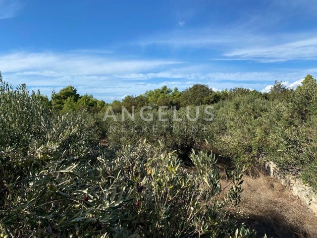 Land For sale - Splitsko-dalmatinska Sutivan - foto 5/7