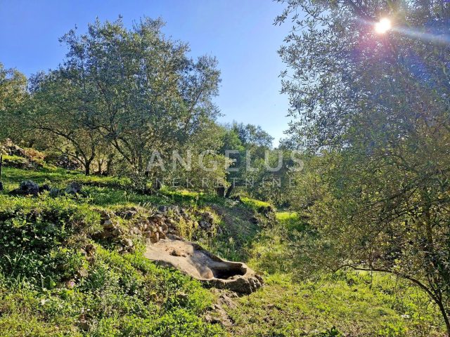 Działka na sprzedaż 3923 m² – Dubrovnik - Okolica
