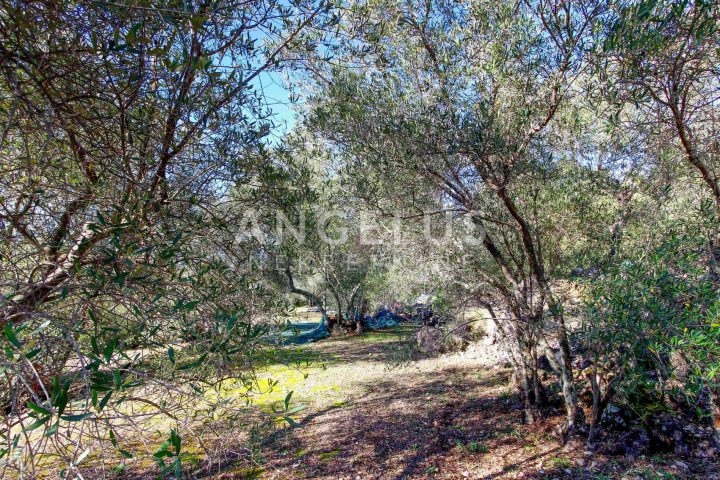Terrain À vendre - Dubrovačko-neretvanska šipanska Luka - foto 5/13