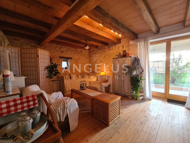 Haus Zu vermieten - Istarska Mugeba - foto 3/36