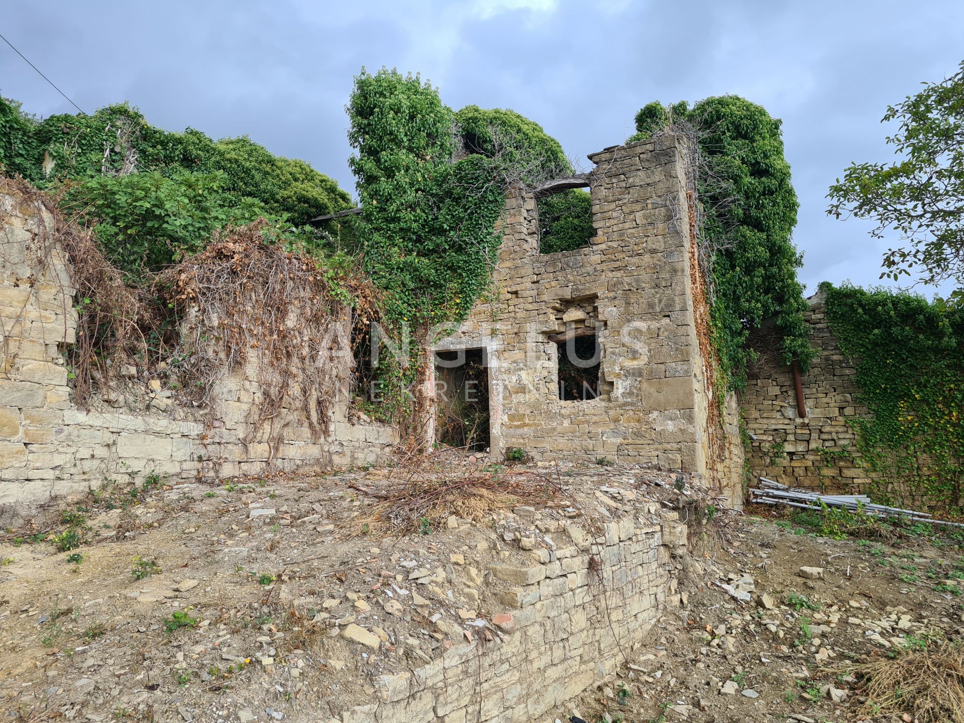 Maison À vendre - Istarska Motovun - foto 2/11