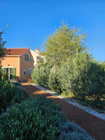 House For sale - Splitsko-dalmatinska Sutivan - foto 4/52