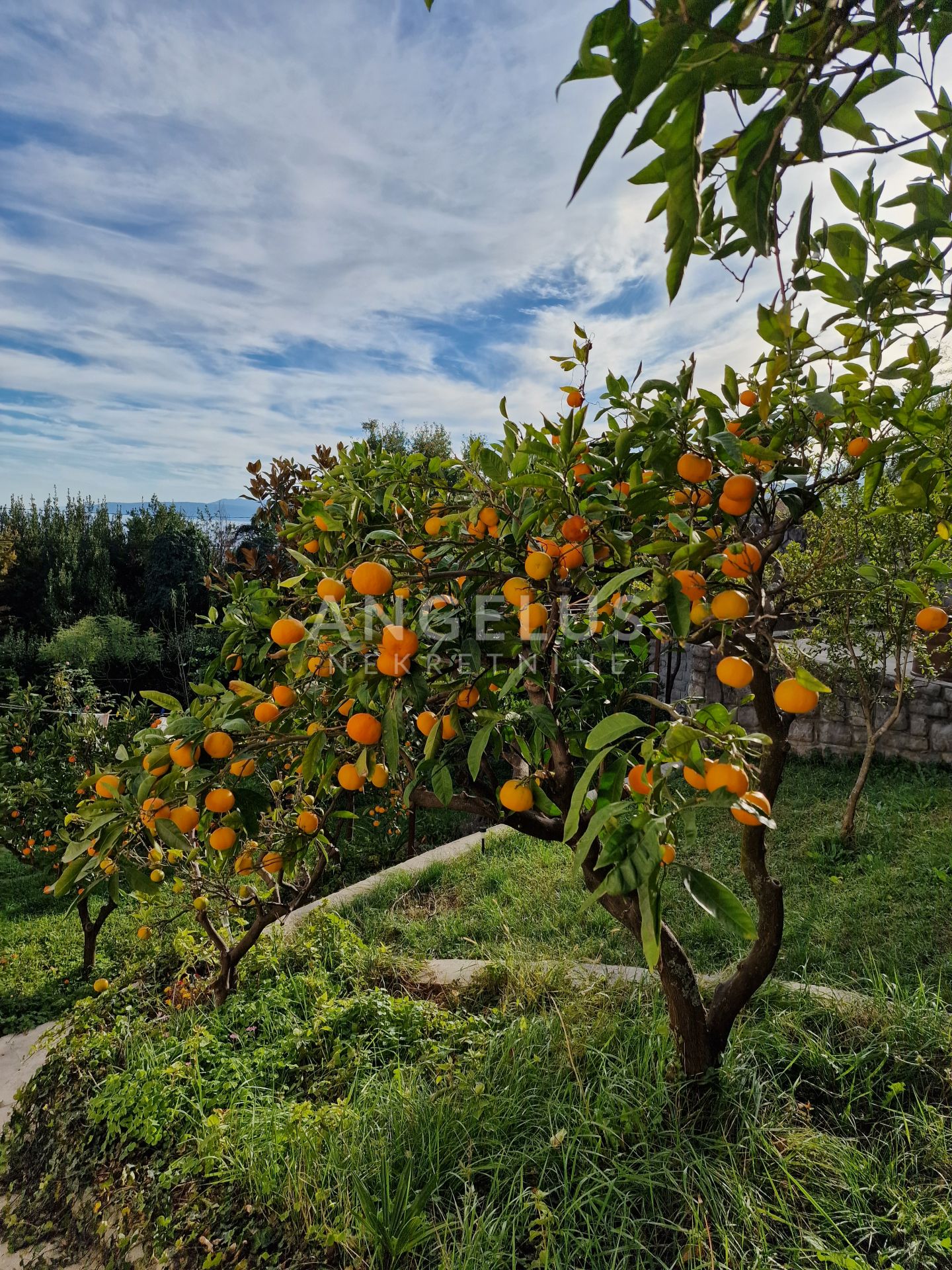 Flat For rent - Primorsko-goranska Ičići