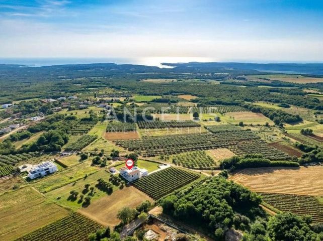 Dům na prodej 402 m² – Višnjan