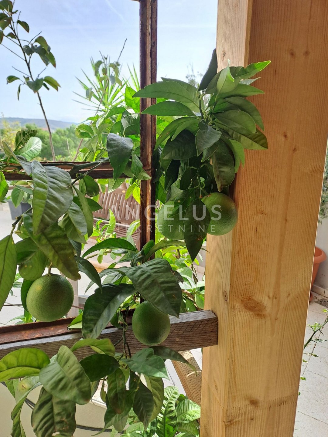 Haus Zu verkaufen - Splitsko-dalmatinska Milna