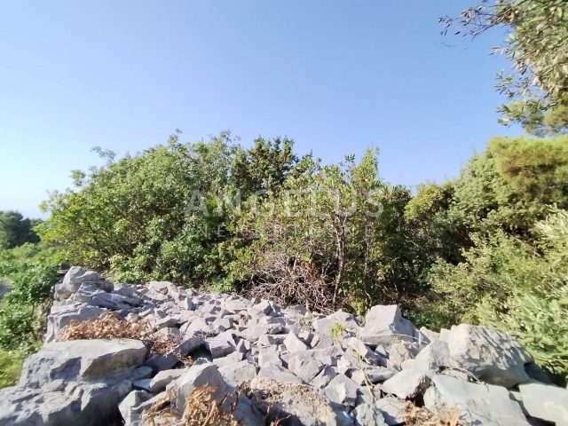 Land For sale - Splitsko-dalmatinska Gornje Selo - foto 4/5