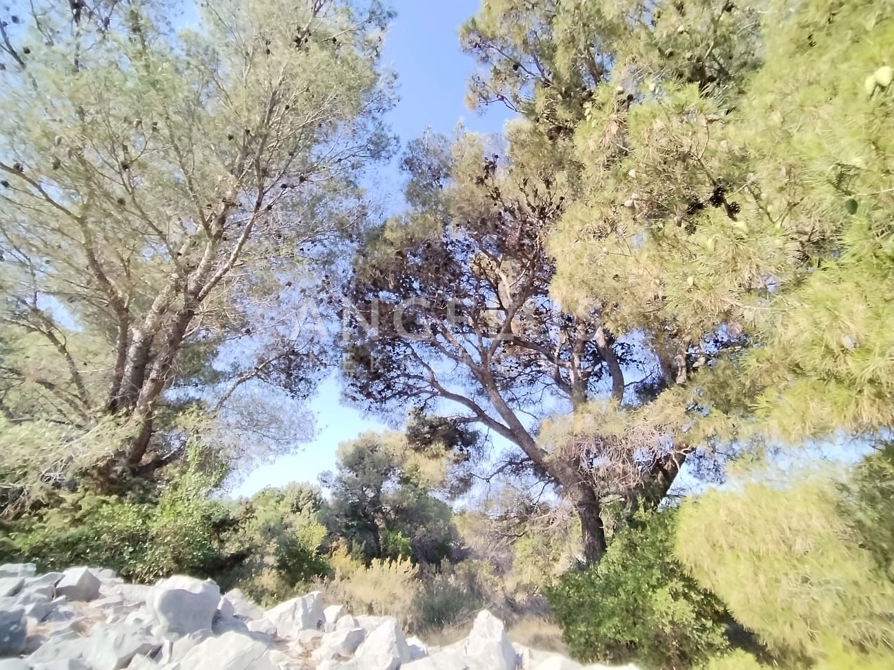 Terreno In vendita - Splitsko-dalmatinska Gornje Selo - foto 2/5