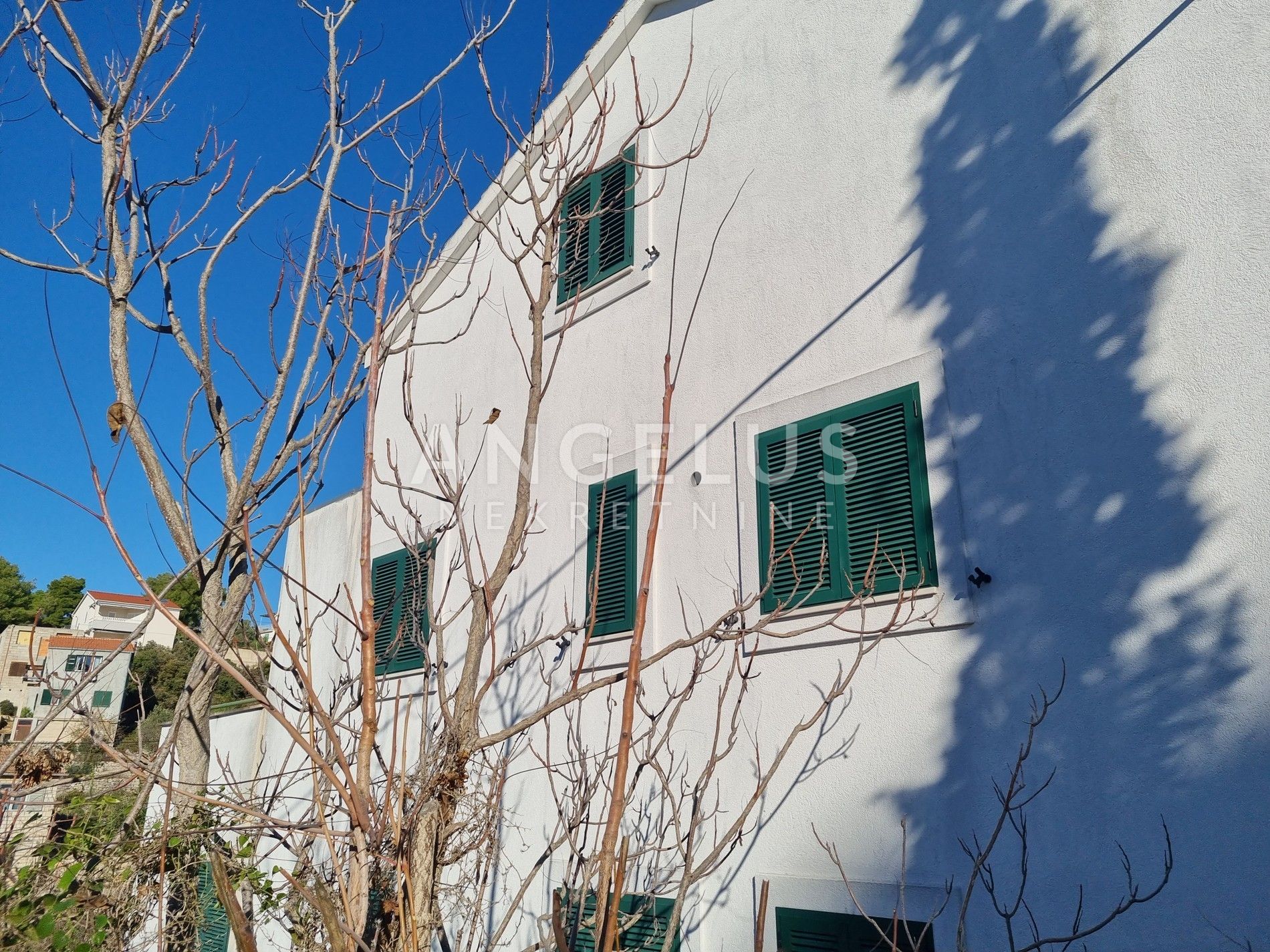 Apartmán Na predaj -  Maslinica