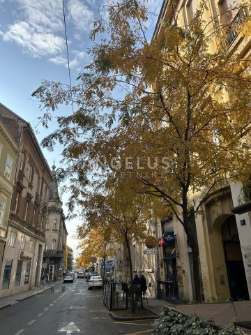 Commerciale in vendita 115 m² – Donji Grad