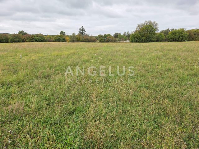 Land for sale 11454 m² – Kanfanar