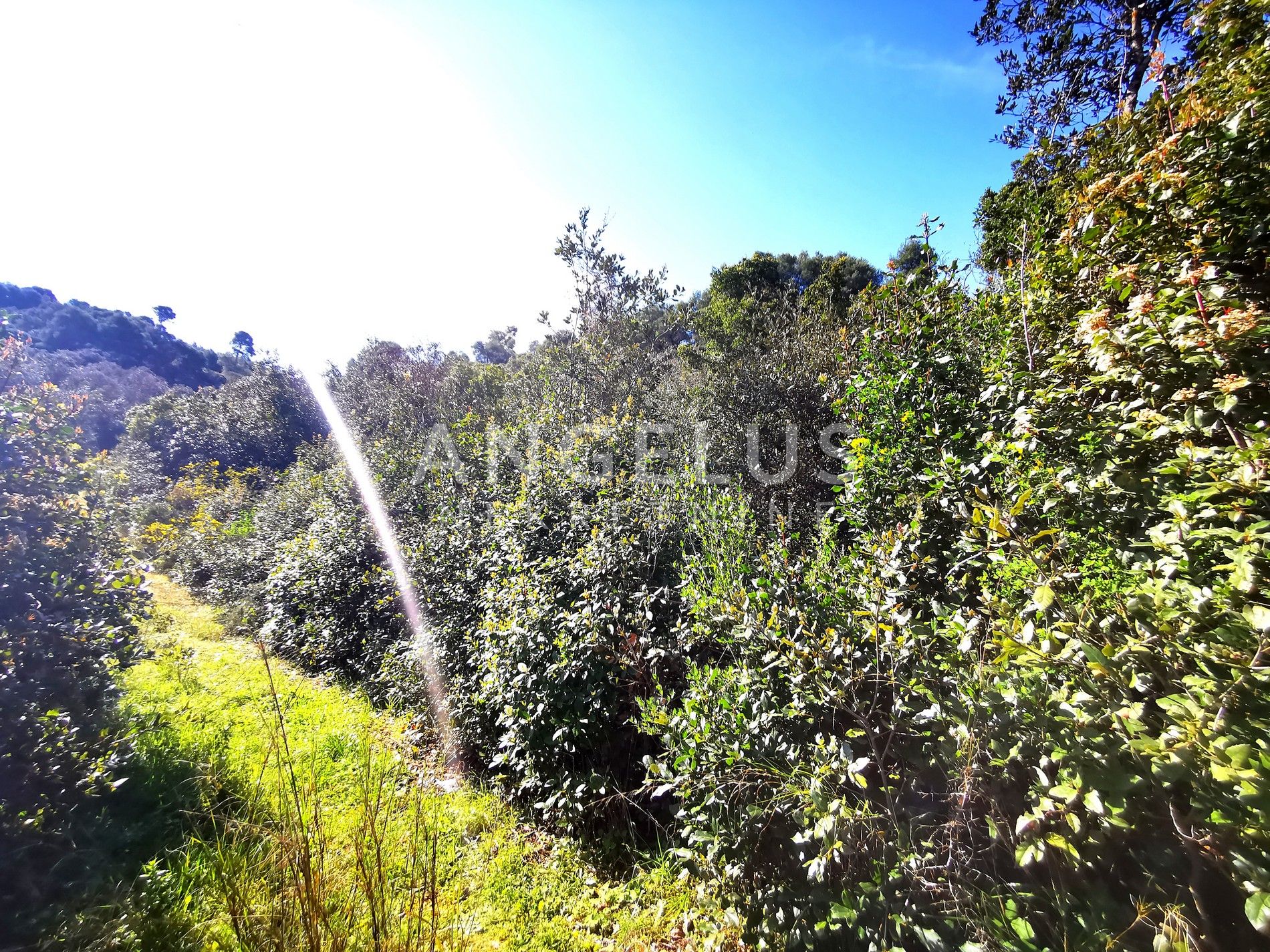 Land For sale -  Nečujam