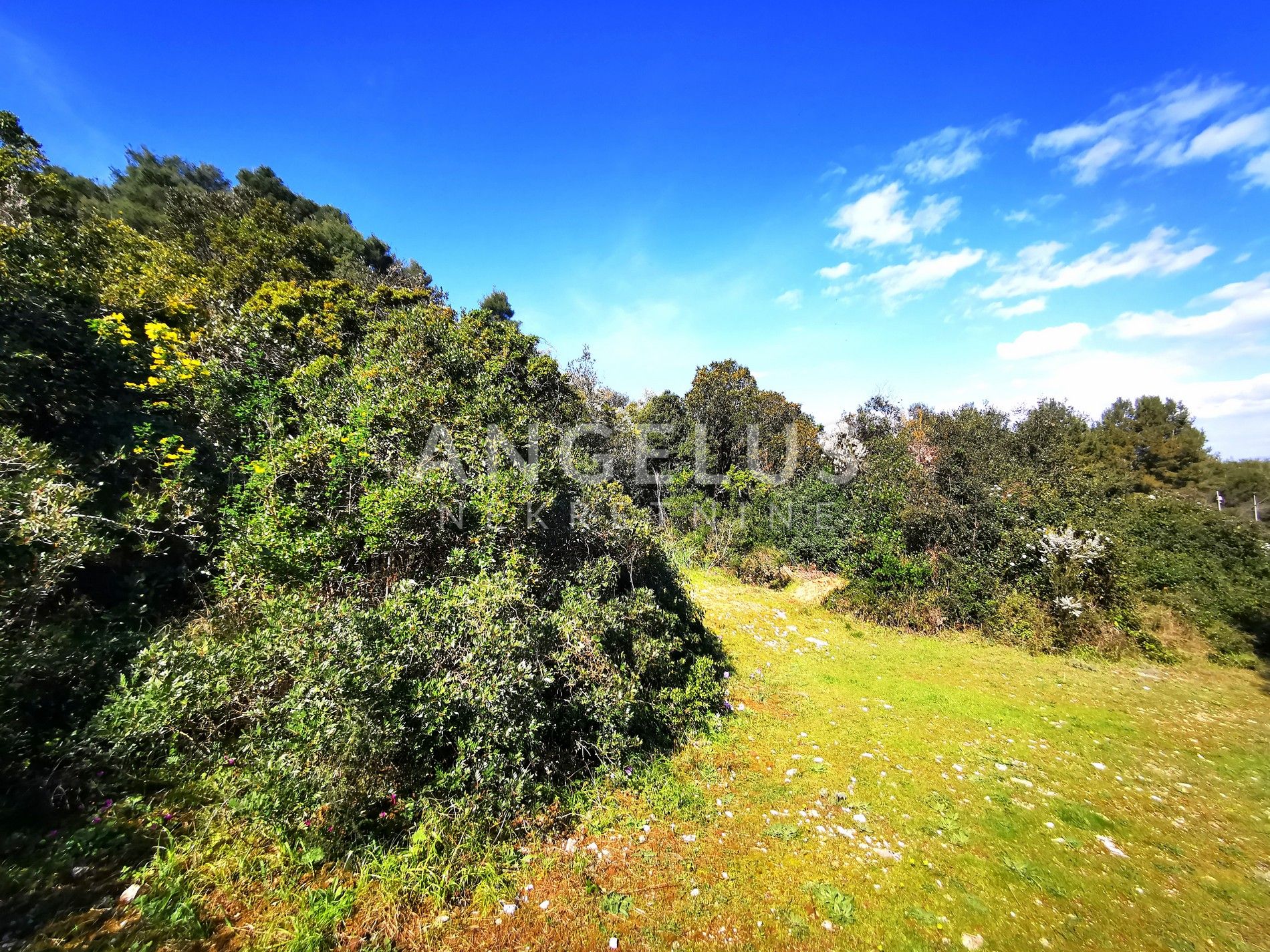 Land For sale -  Nečujam
