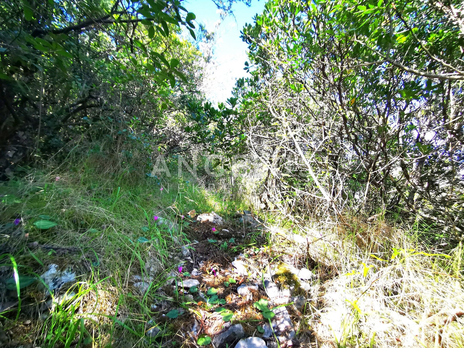 Land For sale -  Nečujam
