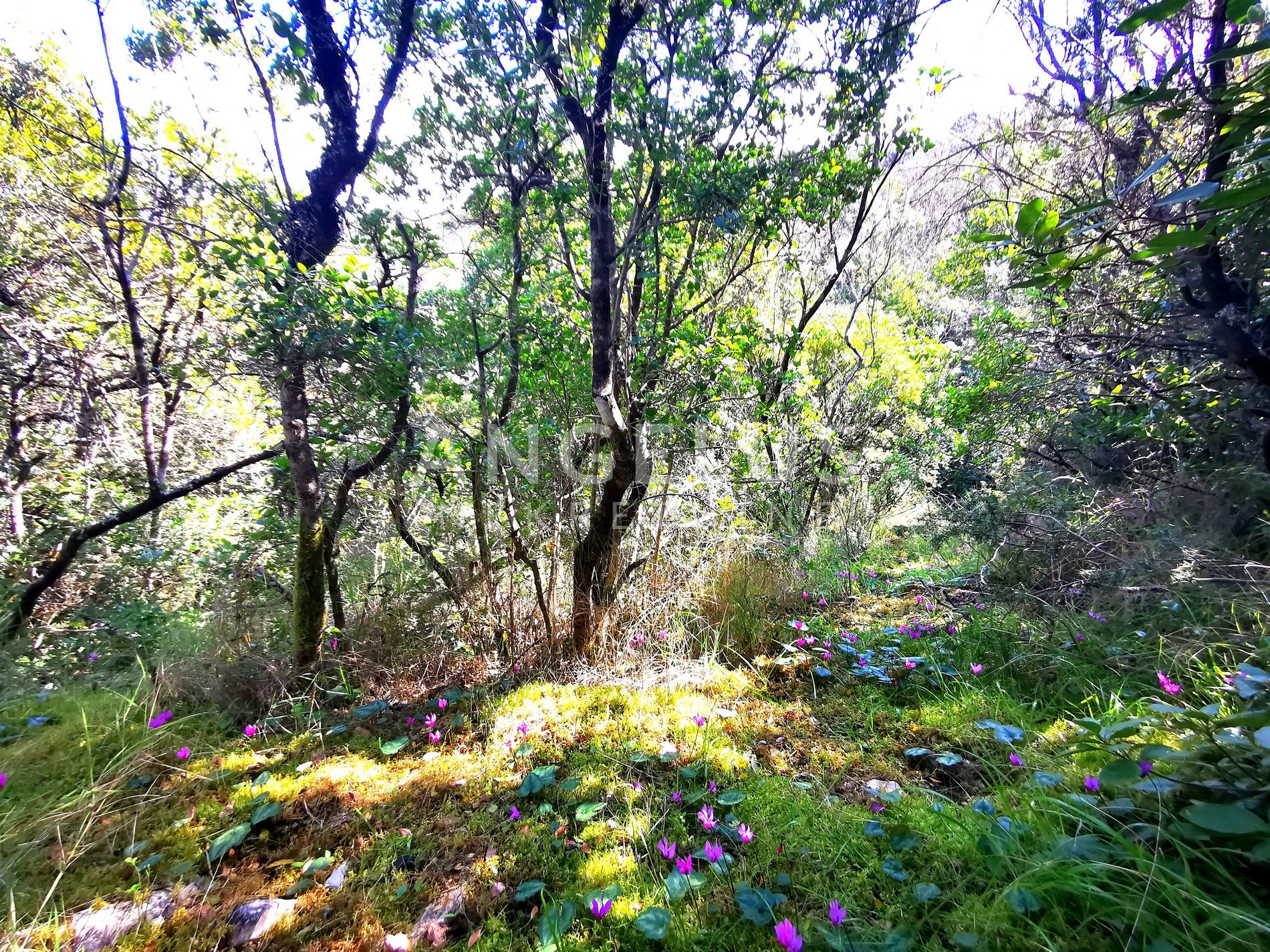 Land For sale -  Nečujam