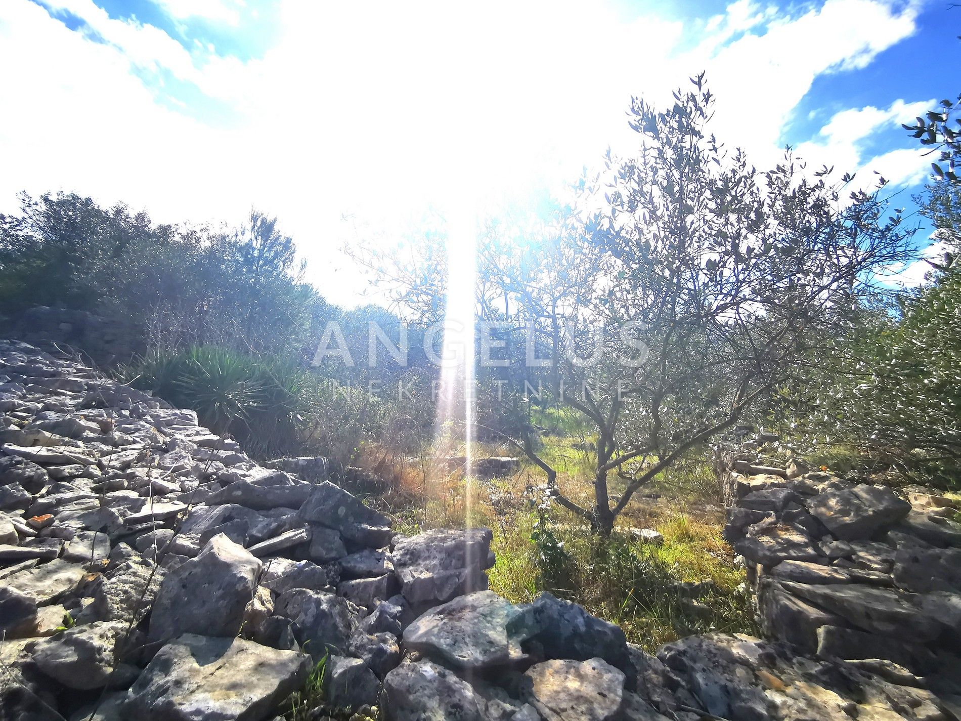 Terrain À vendre - Splitsko-dalmatinska Nečujam