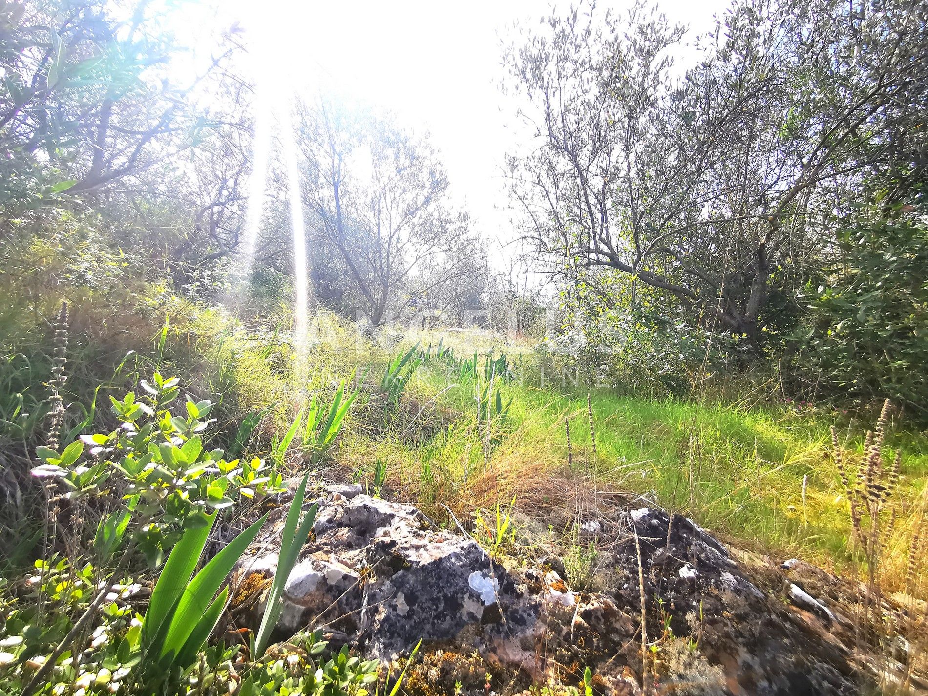 Terrain À vendre - Splitsko-dalmatinska Nečujam - foto 5/16