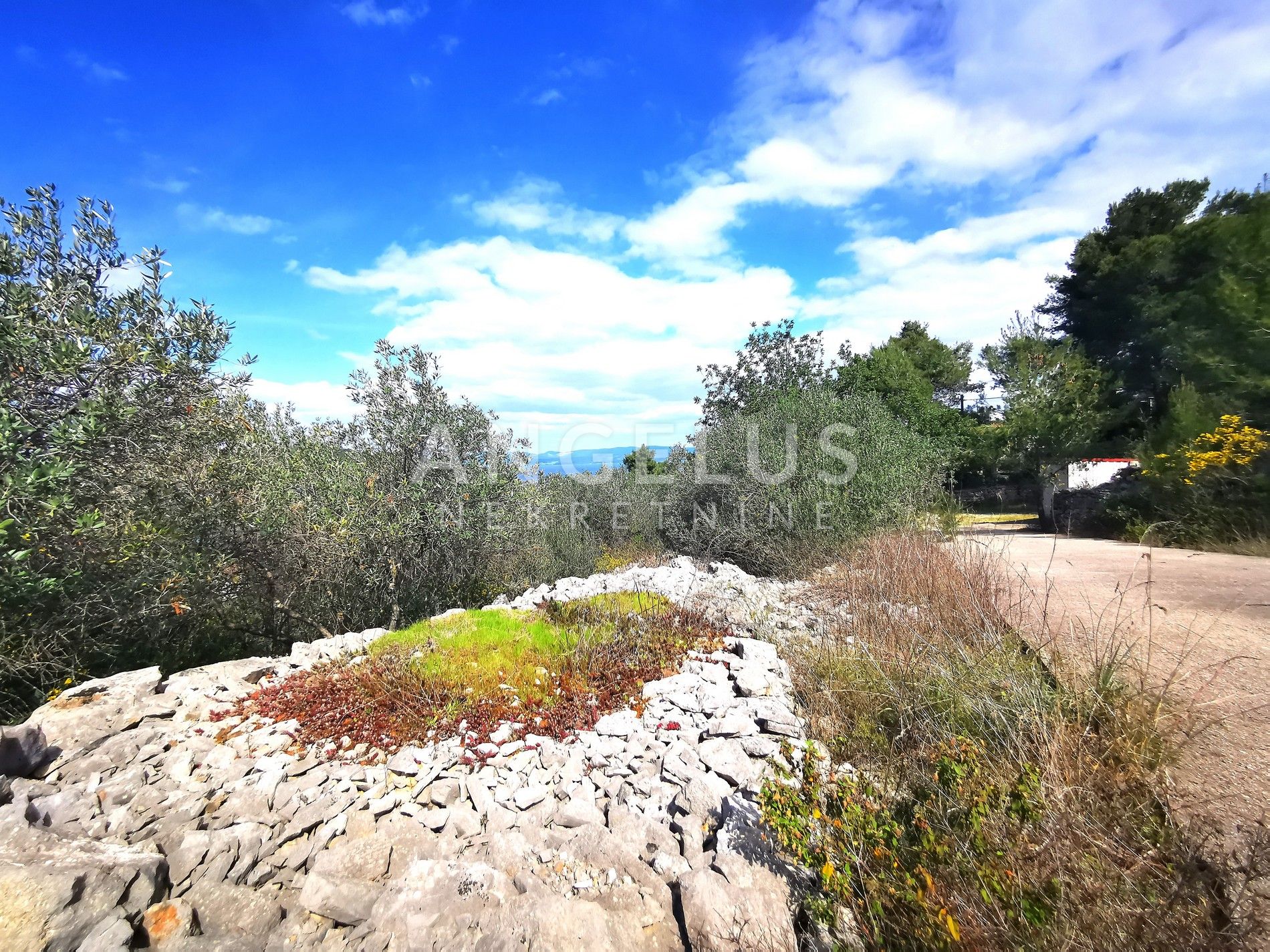 Terrain À vendre - Splitsko-dalmatinska Nečujam