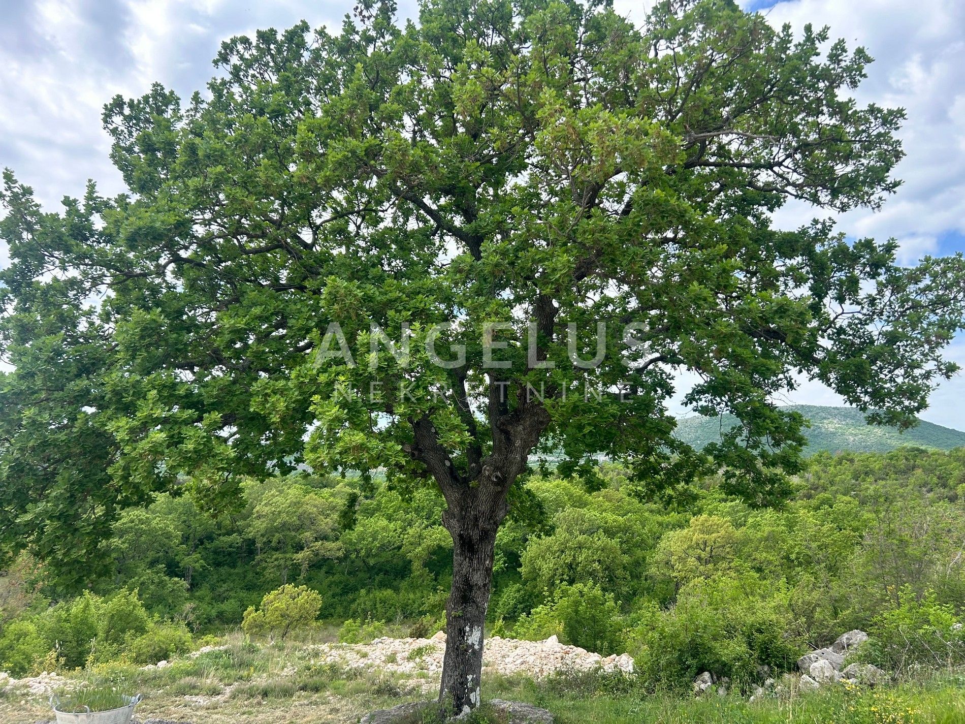Działka Na sprzedaż - Splitsko-dalmatinska Trolokve - foto 1/18