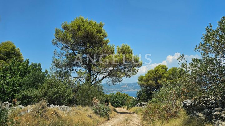 Parcela Naprodaj - Splitsko-dalmatinska Slatine - foto 4/23