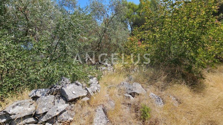 Parcela Naprodaj - Splitsko-dalmatinska Slatine - foto 5/23