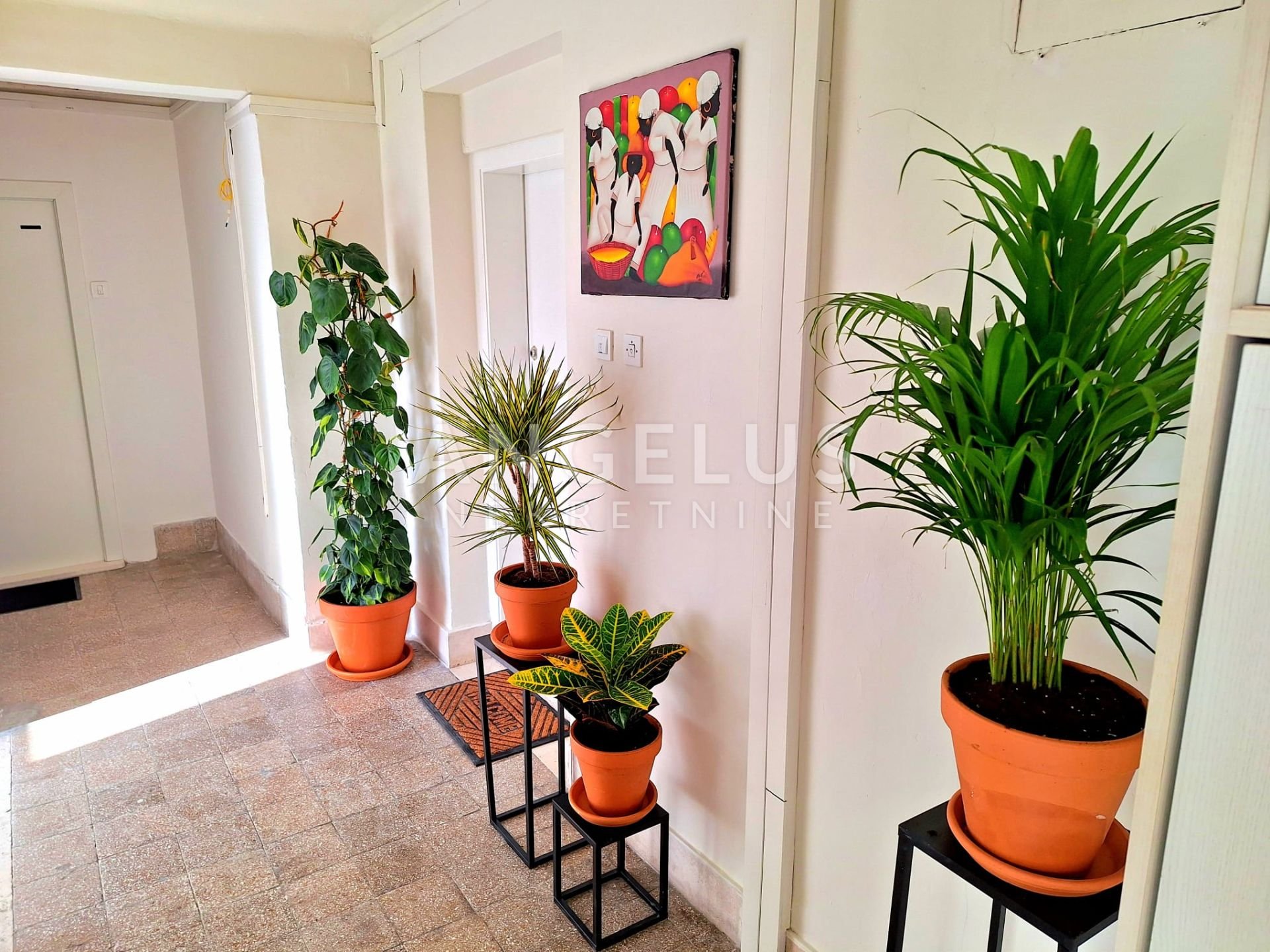 Apartmán Na predaj - Splitsko-dalmatinska Bačvice