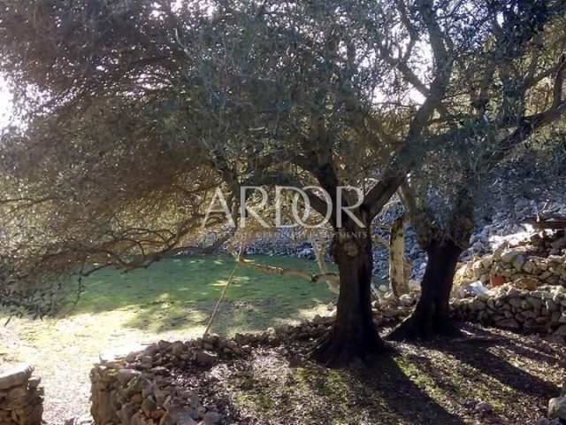 House For sale - Primorsko-goranska Punta Križa - foto 3/29