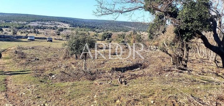 Parcela na predaj 78900 m² – Mali Lošinj