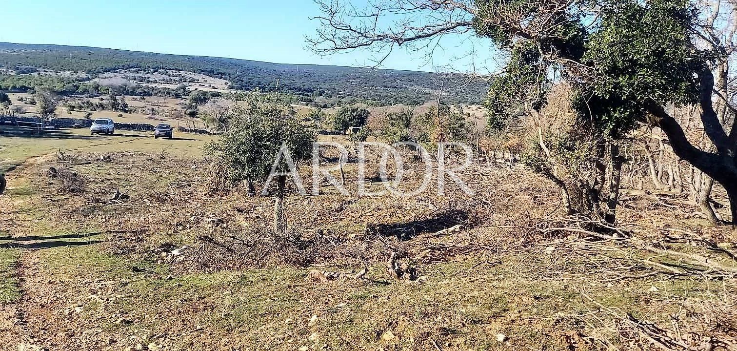 Terrain À vendre Mali Lošinj