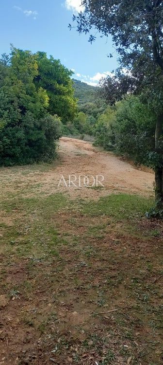 Terreno In vendita -  Ustrine