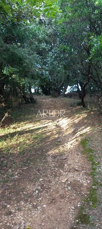 Terreno In vendita -  Ustrine