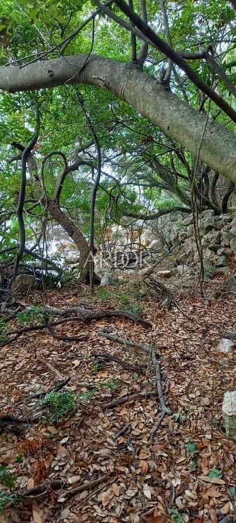 Terreno In vendita -  Ustrine