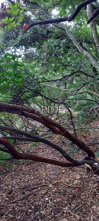 Terreno In vendita -  Ustrine