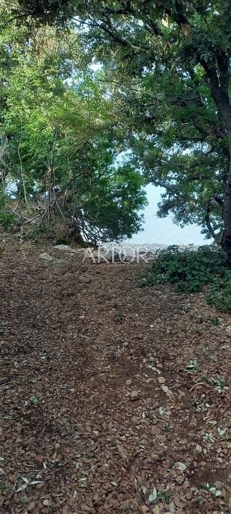 Terreno In vendita -  Ustrine