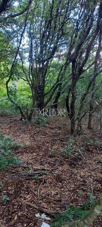 Terreno In vendita -  Ustrine