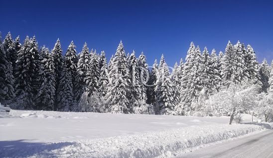 Grundstück zu verkaufen 18172 m² – Mrkopalj
