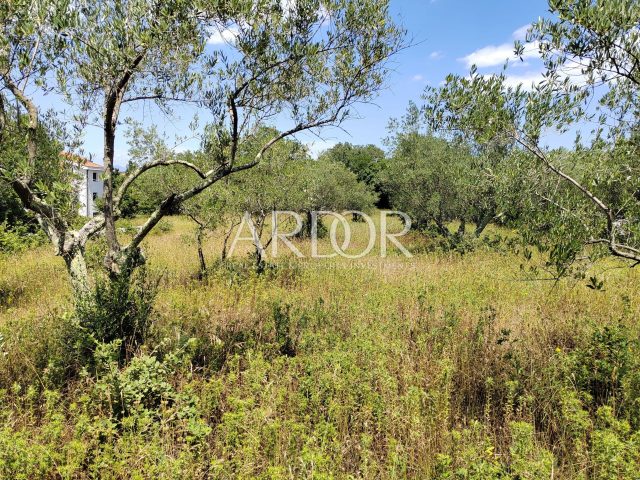 Terreno in vendita 3000 m² – Malinska-Dubašnica