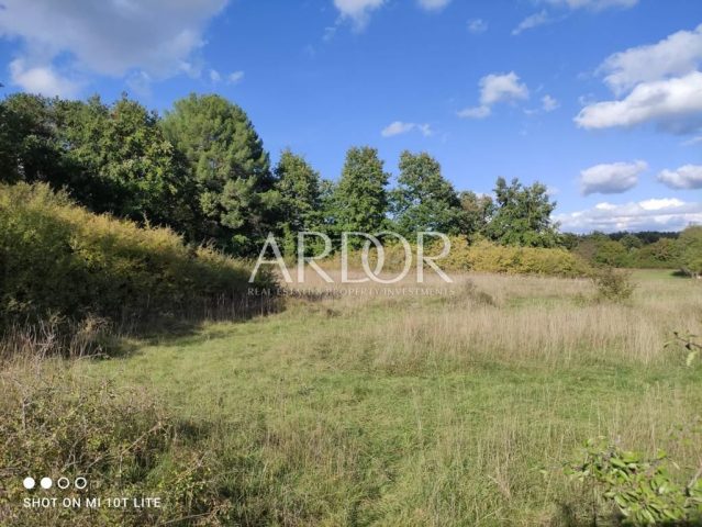 Land for sale 4290 m² – Barban