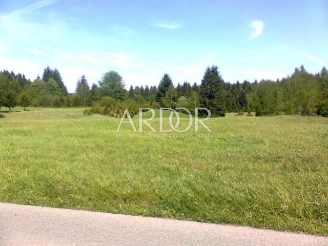 Działka na sprzedaż 4193 m² – Skrad