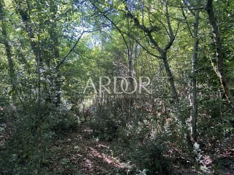 Land For sale - Primorsko-goranska Kastav - foto 4/4