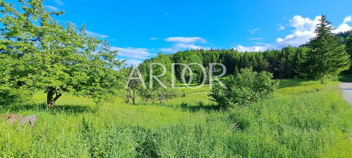 Zemljište na prodaju 17000 m² – Vrbovsko