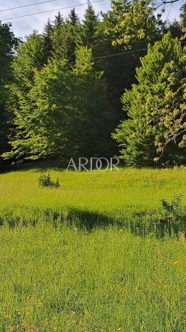 Parcela Naprodaj - Primorsko-goranska Jablan - foto 5/7