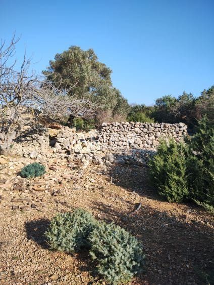 Terreno In vendita -  Osor