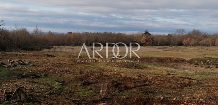 Land for sale 15360 m² – Tar-Vabriga